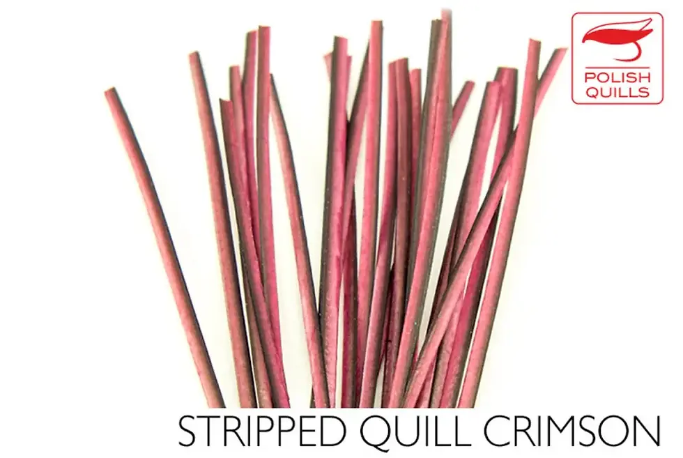 Thumbnail: Polish Quills Hand Stripped Peacock Quills

