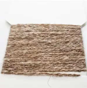 Thumbnail: Scraggy Bug Yarn