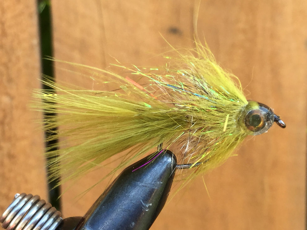 V2 Woolly Bugger