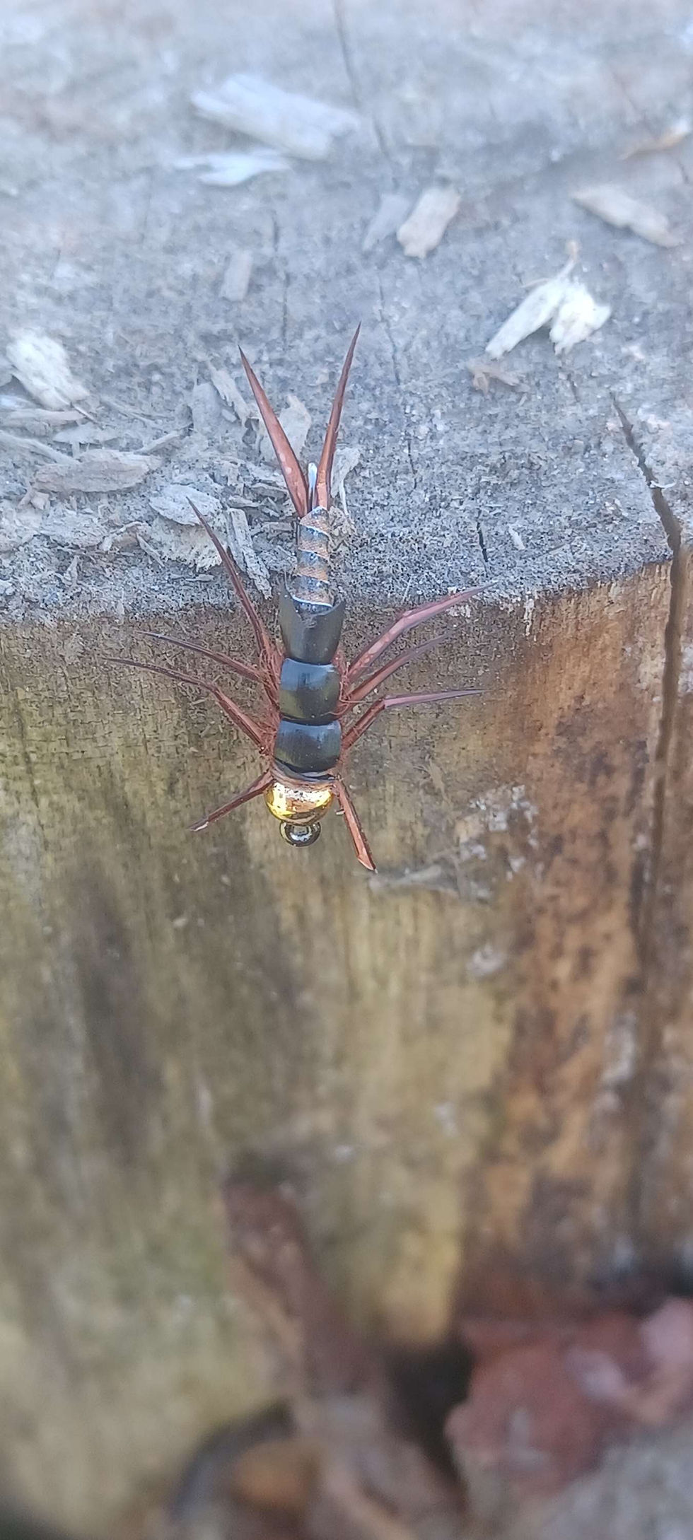 Thumbnail: Stonefly nymph kit