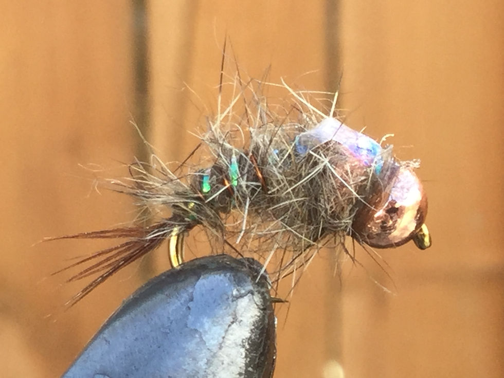 Bomb DB Hares Ear Flashback