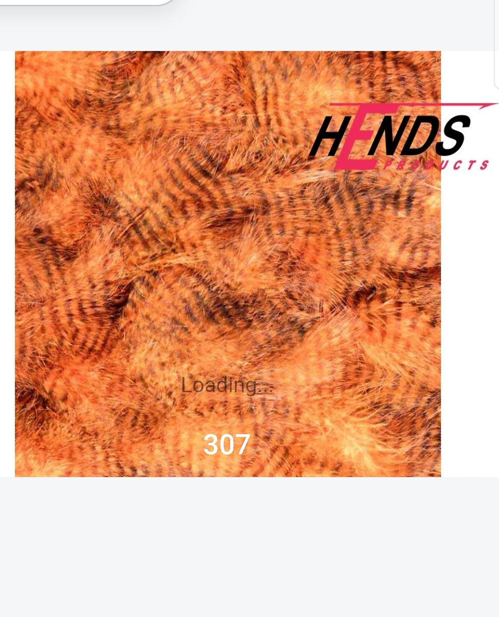 Thumbnail: Hends barred marabou