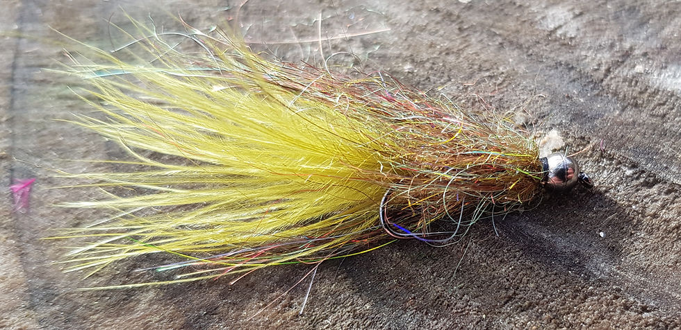 Thumbnail: Beaded leech