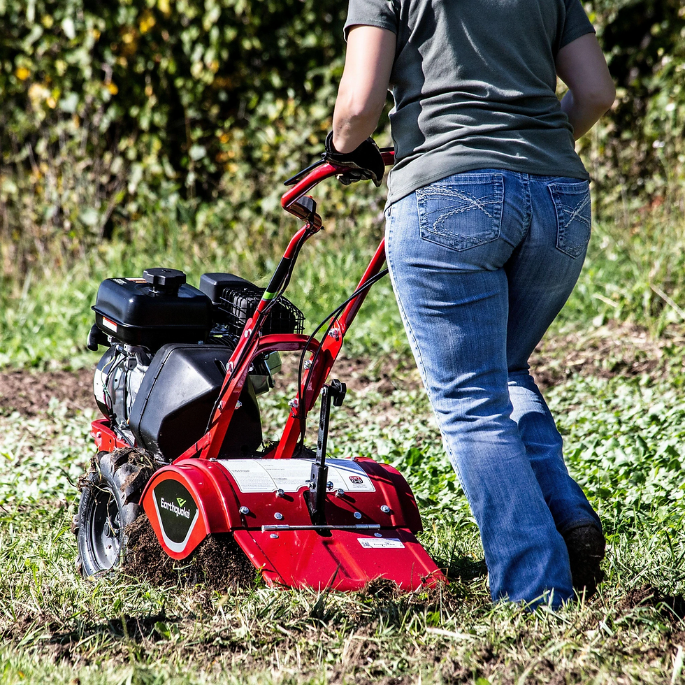 Thumbnail: Earthquake Victory Rear Tine Tiller