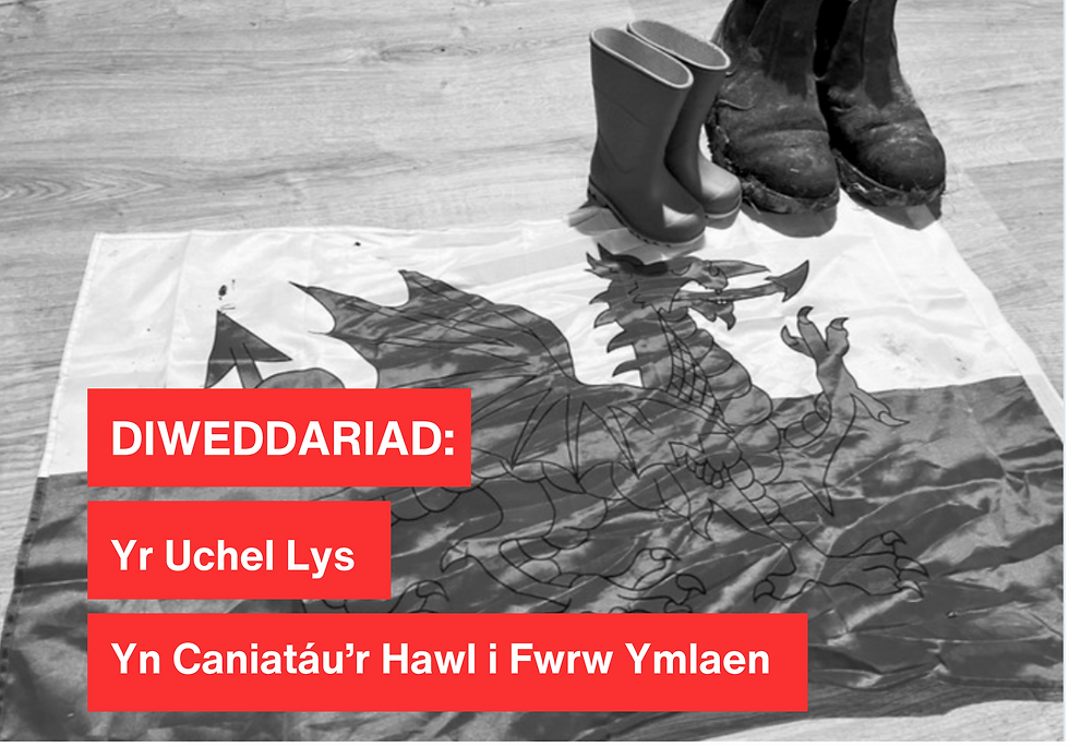 Yr Uchel Lys yn Caniatáu’r Hawl i Fwrw Ymlaen