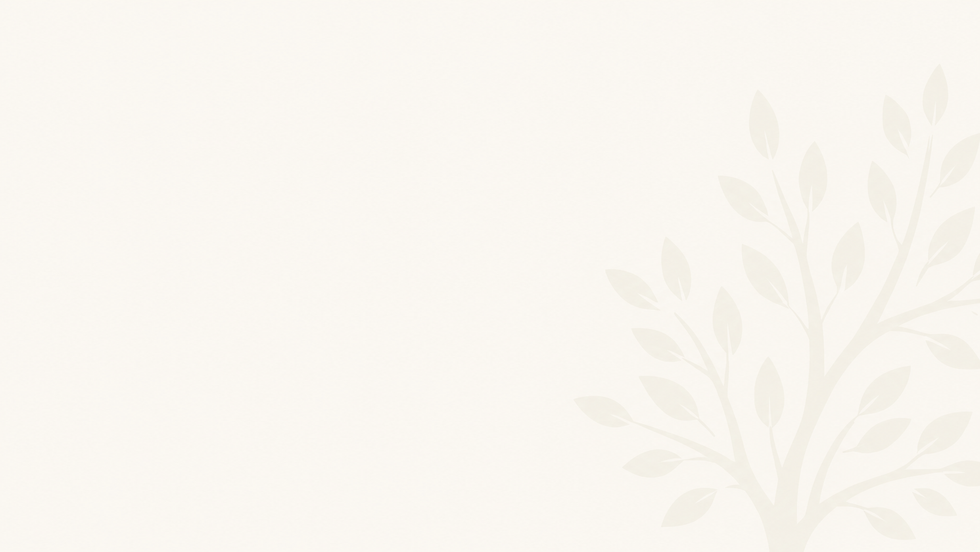 Faint tree branch silhouette on a cream background