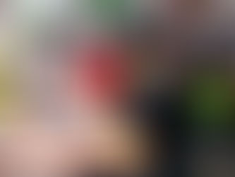 The top 3 reasons startups succeed