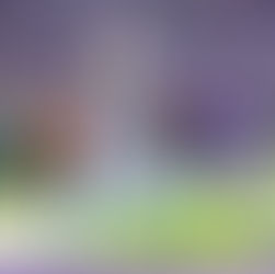 NFL Pittsburgh Steelers Tight End Donald Parham Jr. Named Official Ambassador of Hypamark Elite Girls Flag Football Team. 