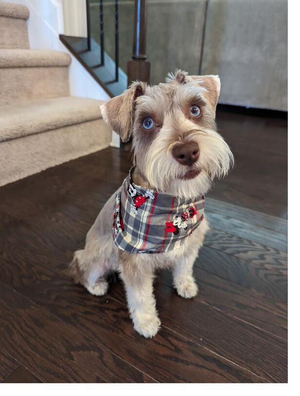 Peanut3.jpg