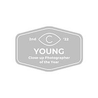 2nd-Young-transparent-CUPOTY 04.png