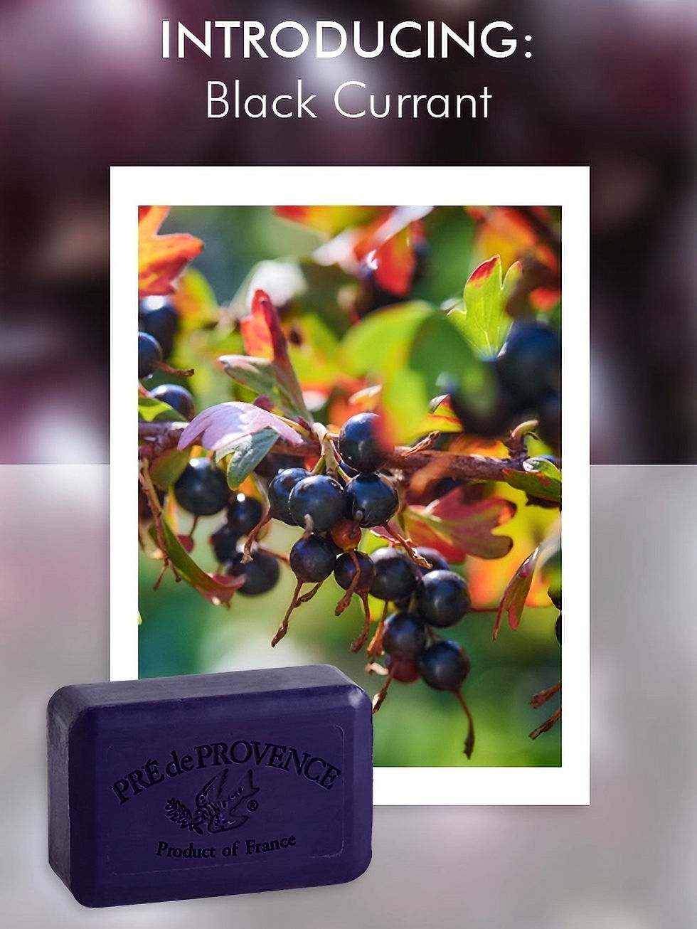 Thumbnail: Pré de Provence Soap Shea Enriched French Soap Bar in Black Currant