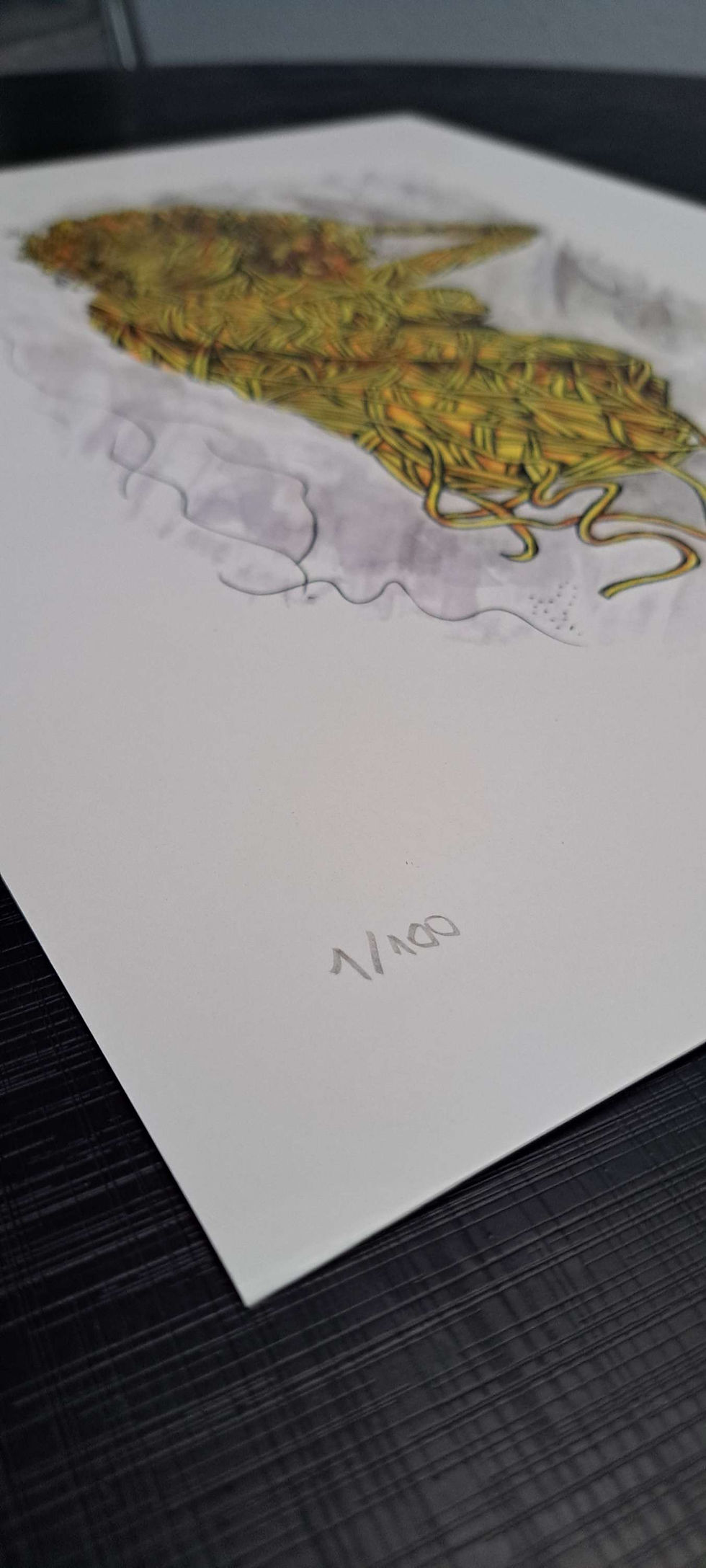 Miniatura: Prints de Arte