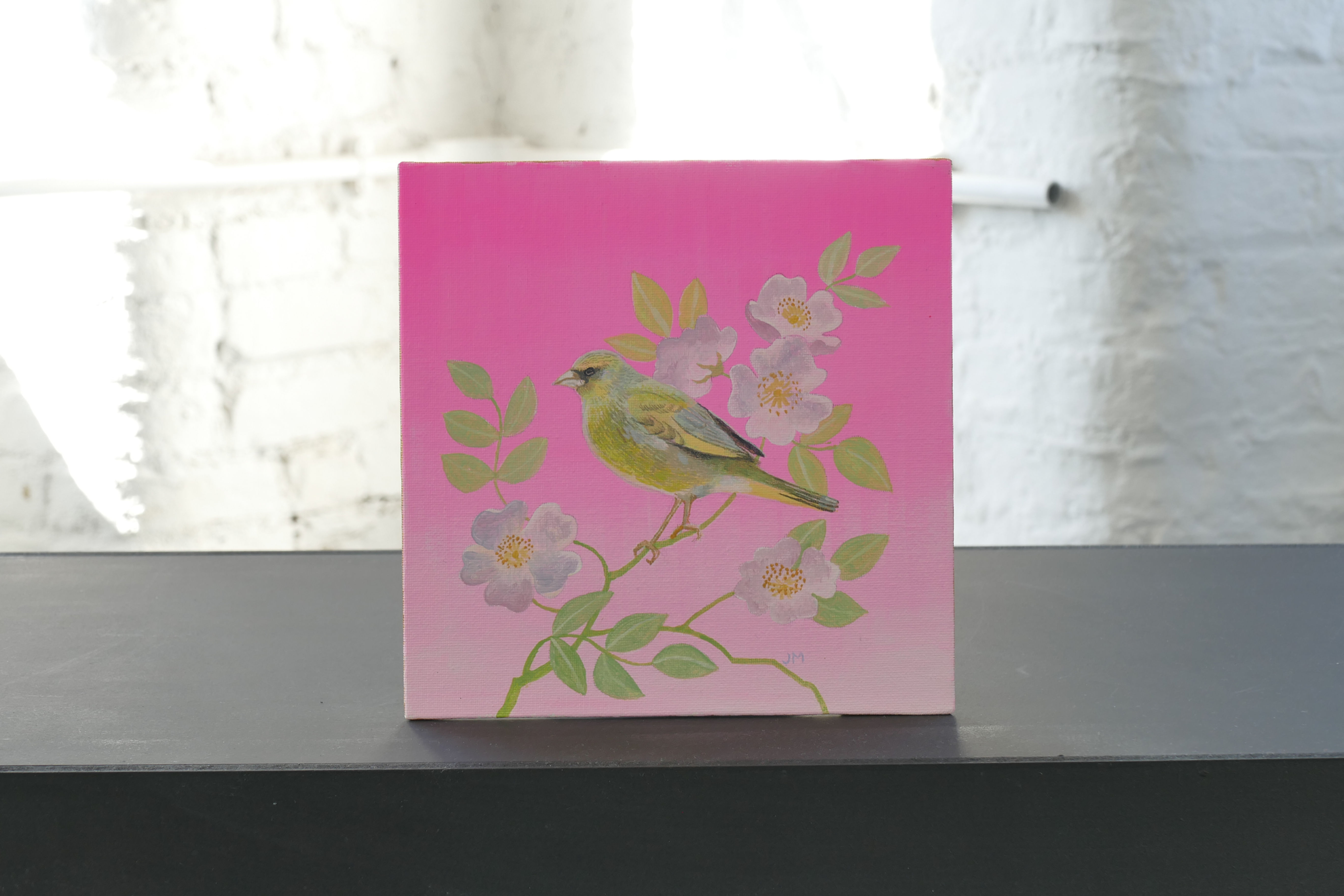 GREENFINCH in DOG ROSES