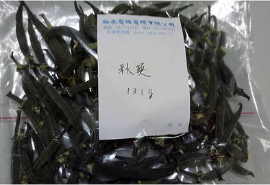 圖片15.jpg