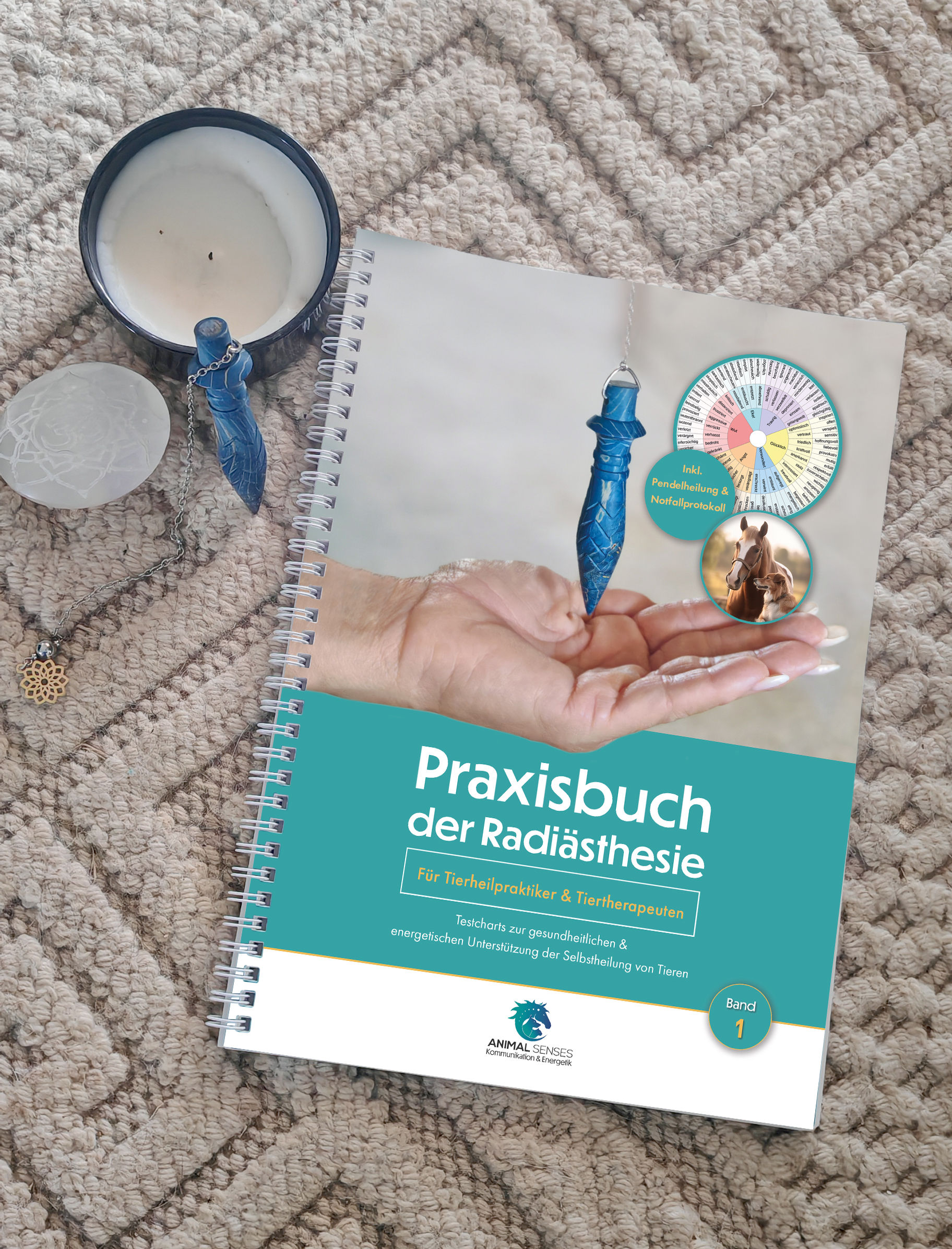 Praxisbuch der Radiästhesie Band 1