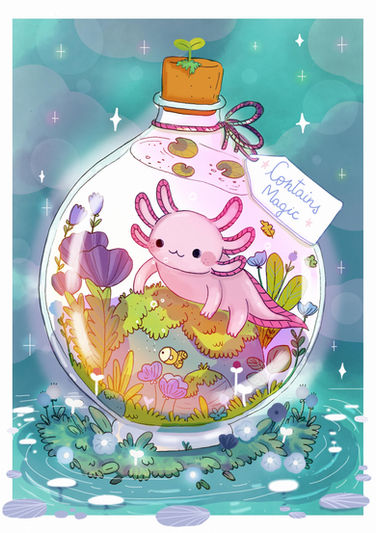 illustration Axolotl