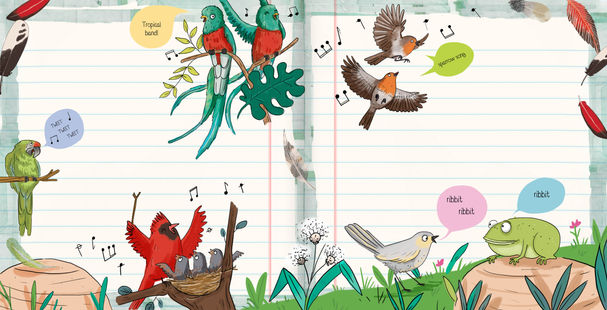 10_How Do Birds .jpg