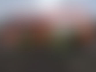 Weil man nie auslernt