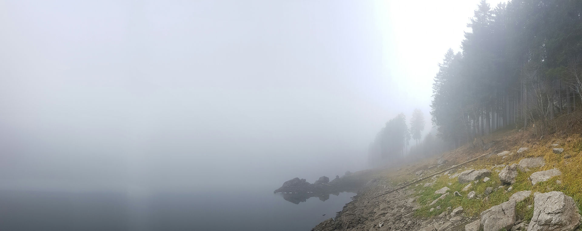 foggy lake