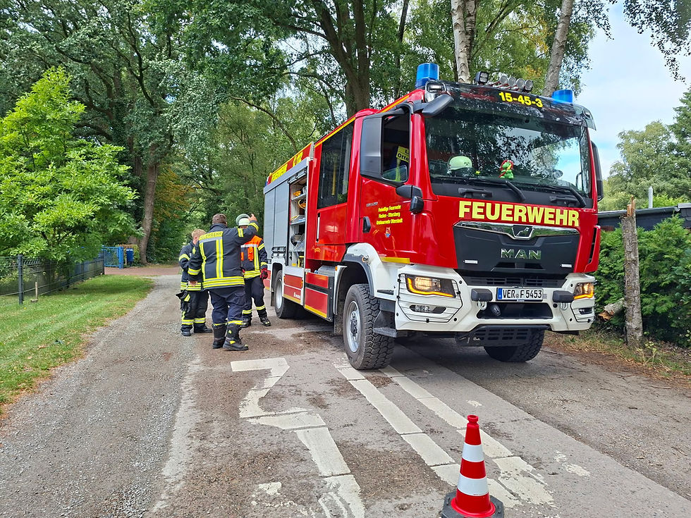 Baum auf Gebäude