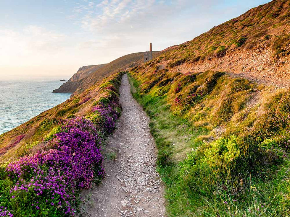 South Coast Path/ King Charles III Way