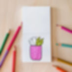 interior page of one coloring book in the bundle set, of a house plant colored with a pink pot, surrounded by colored pencils