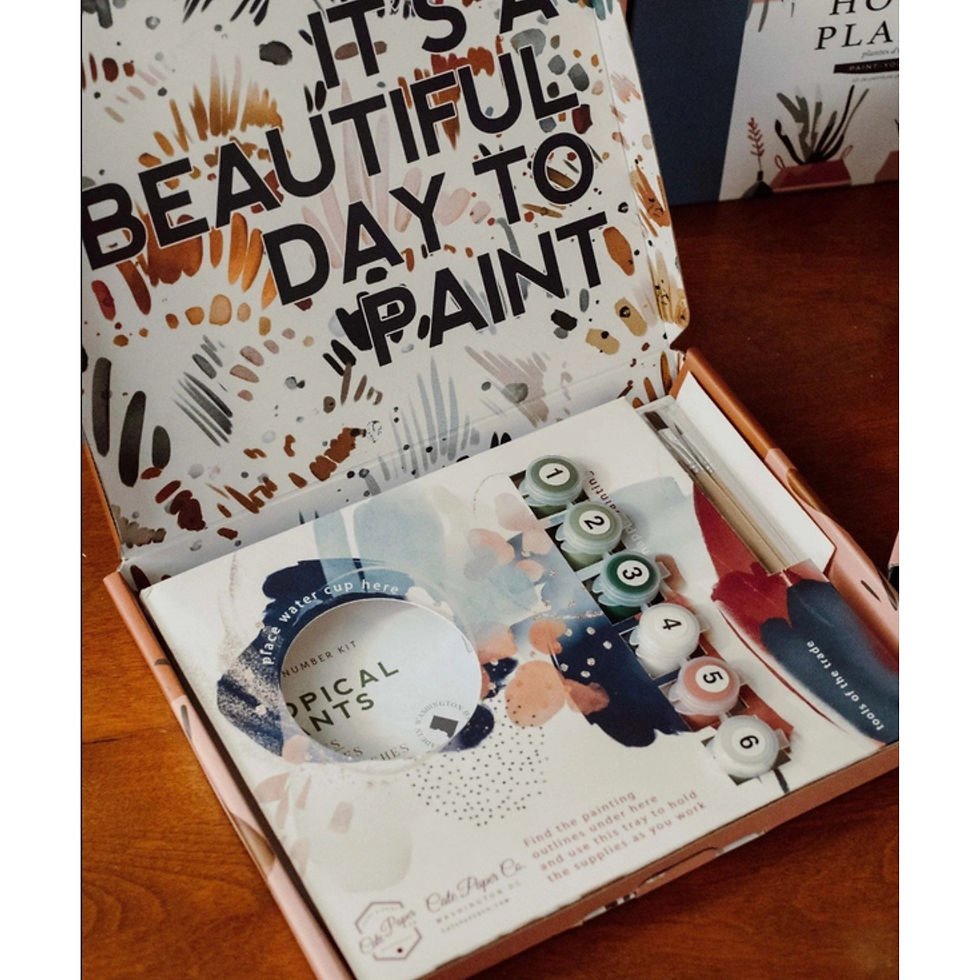 box of cate paper company paint by number kits with instructions, acrylic paint pots and cute packaging for gifting