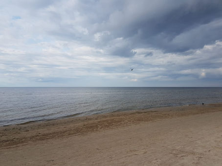 Holidays… now I am back