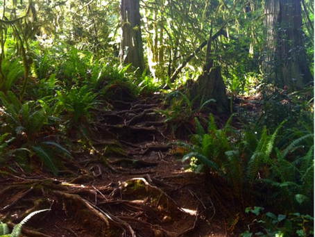Vancouver Island