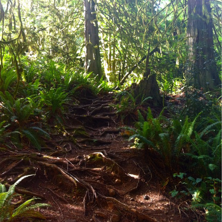 Vancouver Island