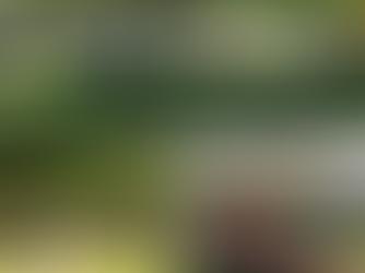 Fête des sports à Alençon !