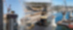 Robert Gemmell home page montage.jpg
