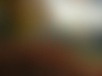 A pile of colorful autumn leaves in the foreground with bright orange foliage blowing upward, set in a sunlit forest as rays of light stream through tall trees on a peaceful fall day.