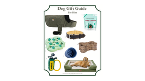 Gift Guide for Dogs and Dog Lovers