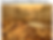 Screen Shot 2025-04-30 at 10.12.41 AM.png