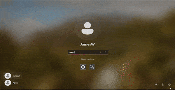 WindowsDesktopPasskeyLogon.gif