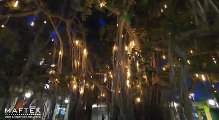 Ashdod Snowfall Tree