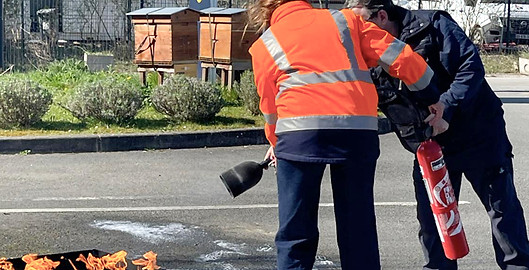 Capture d’écran 2025-05-01 à 23.49_edite