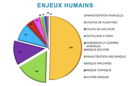 risques et accidents en entreprises