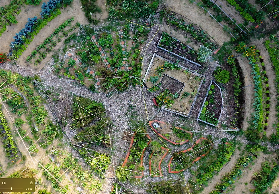 Jardin_Pédagogique