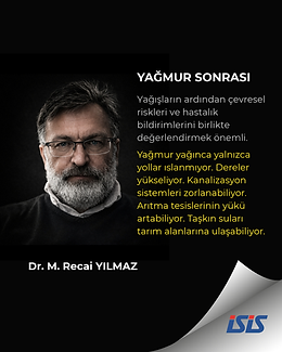 Blog Yazıları
