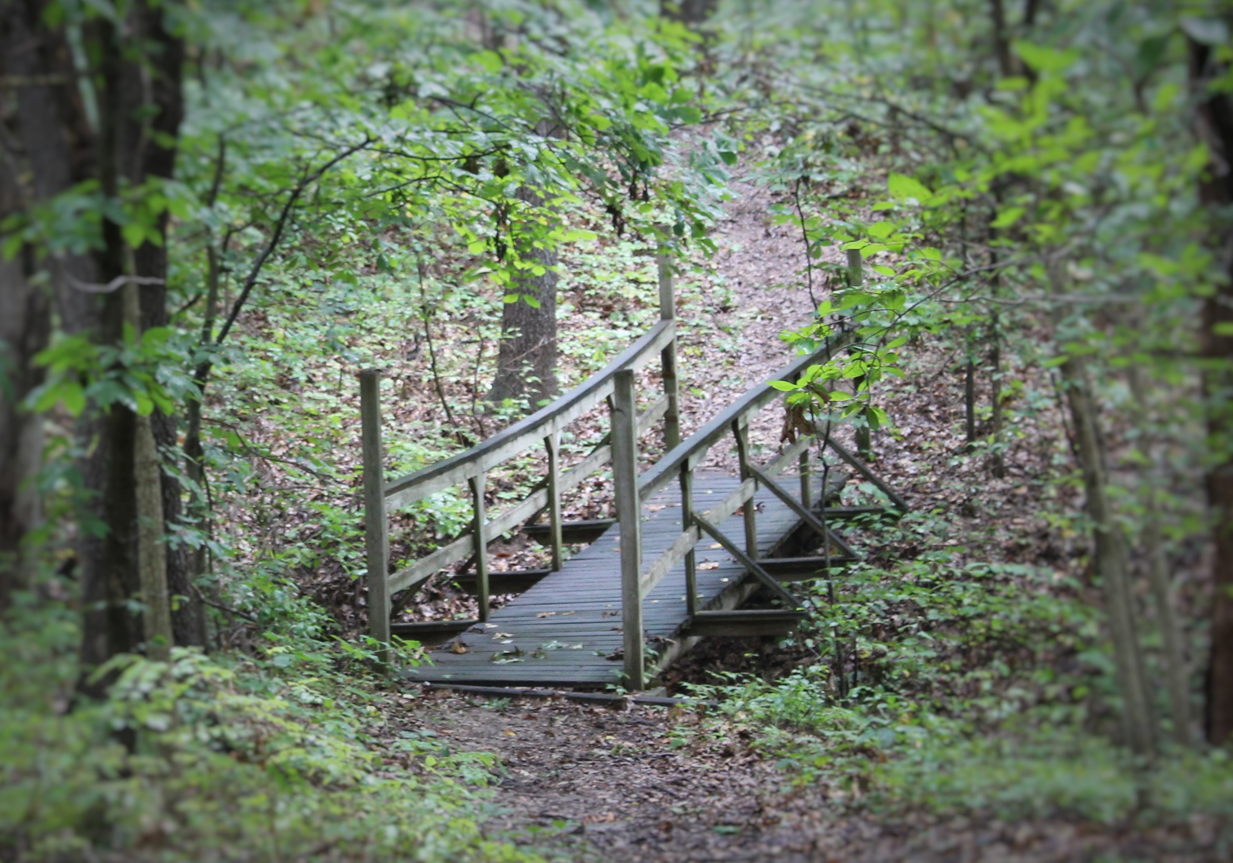 320 acres