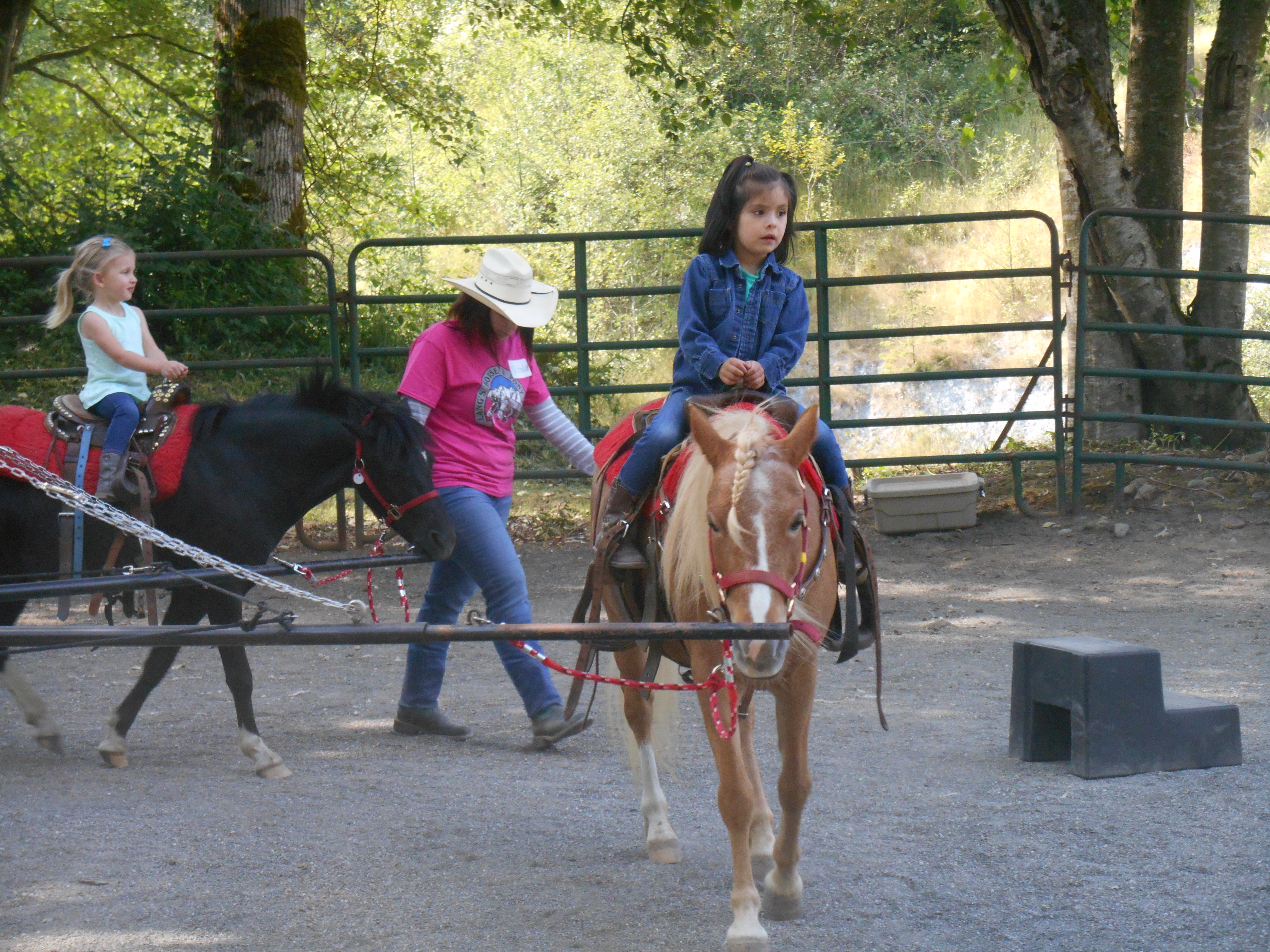 birthday parties langs horse and pony farm langs horse and pony farm