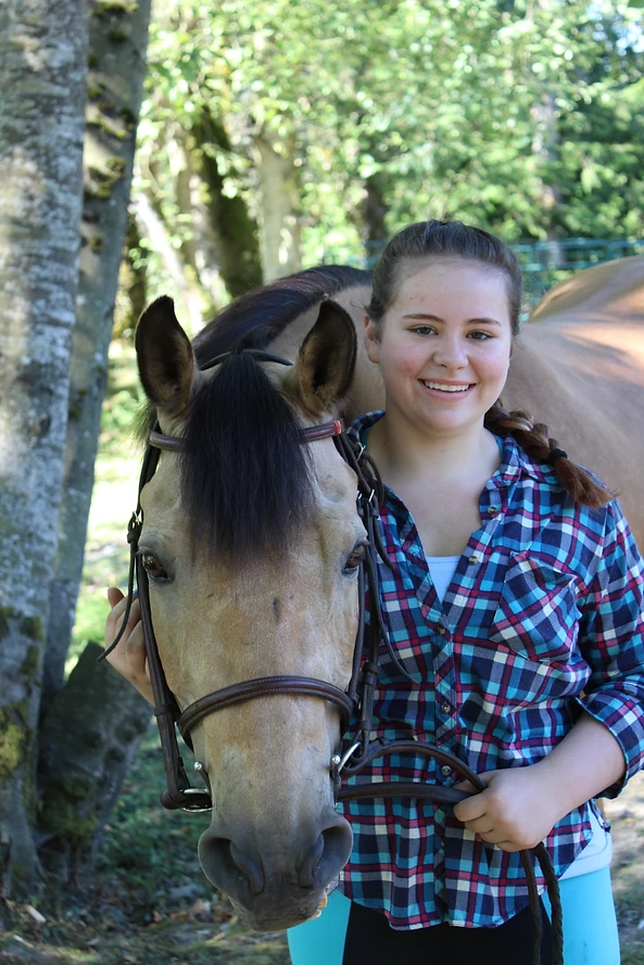 langs horse and pony farm langs horse and pony farm