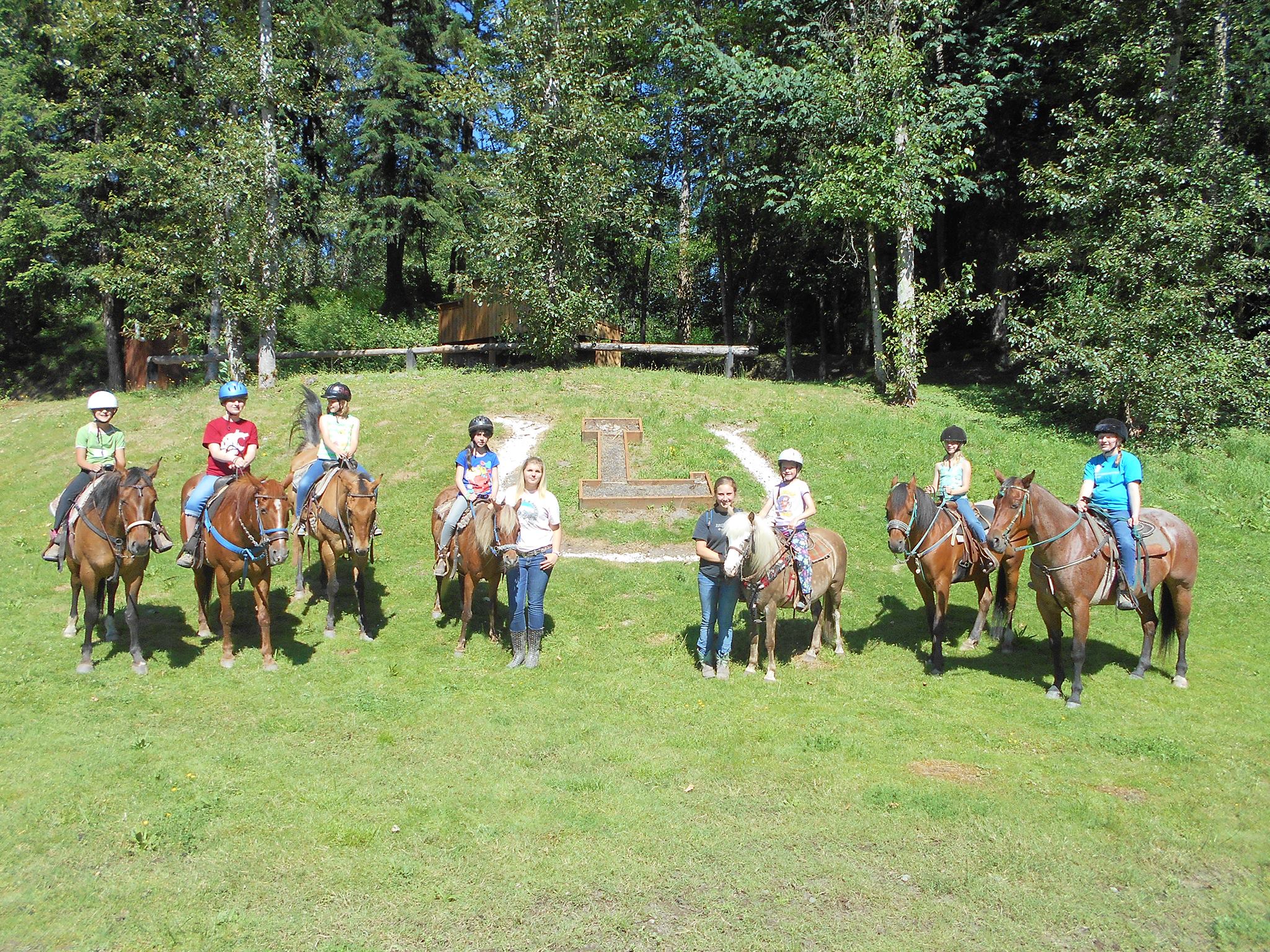 langs horse and pony farm