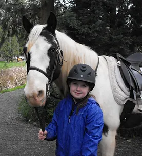 langs horse and pony farm