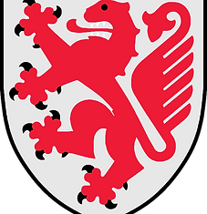 Traslocare a Braunschweig