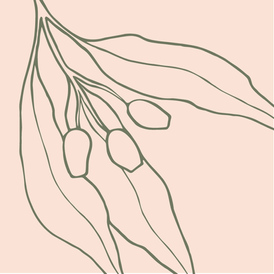 Greenlea - Branding_Page_2