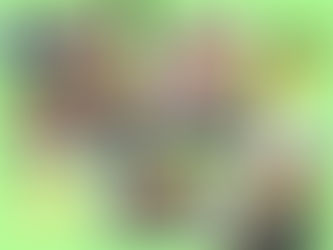 カラメル『スイーツショップ♡カラメルふわもちドーナツ🍩』