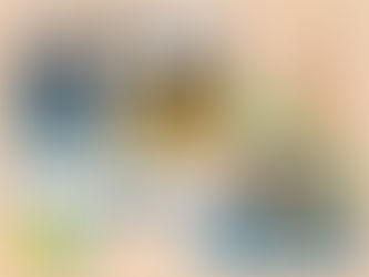 カラメル『ボールで遊ぼう🐧』